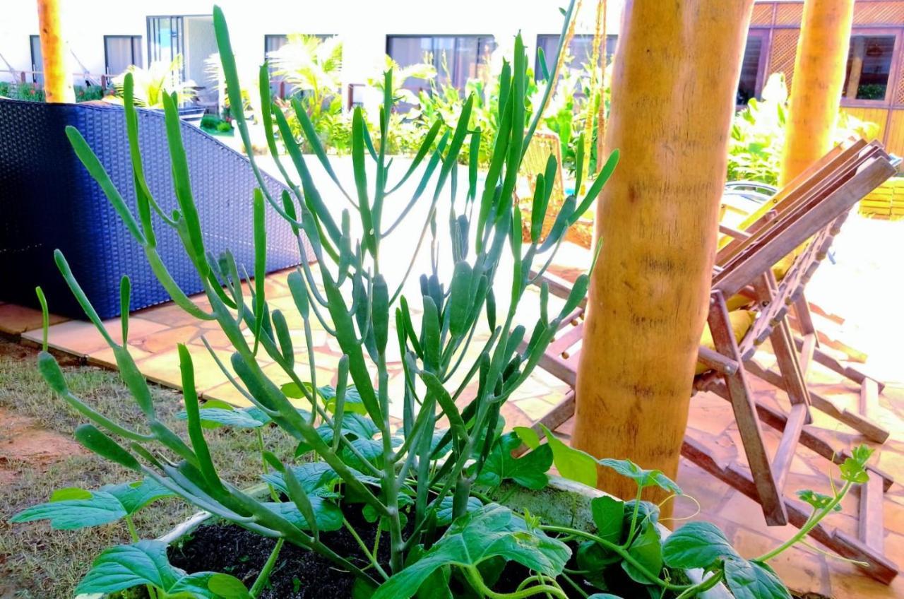 Mar Turquesa Eco Pousada Maragogi Ngoại thất bức ảnh